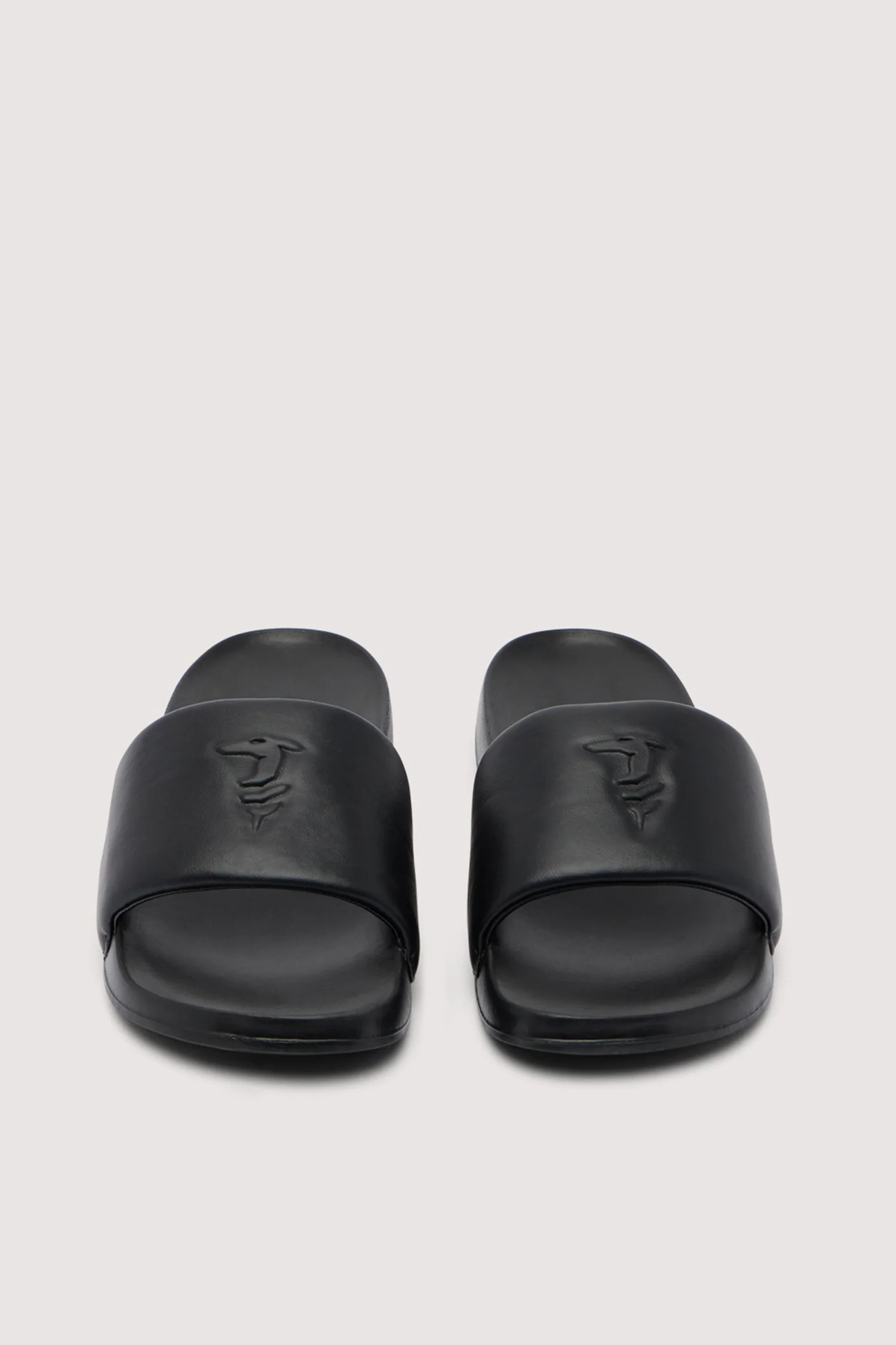 Greyhound Slides