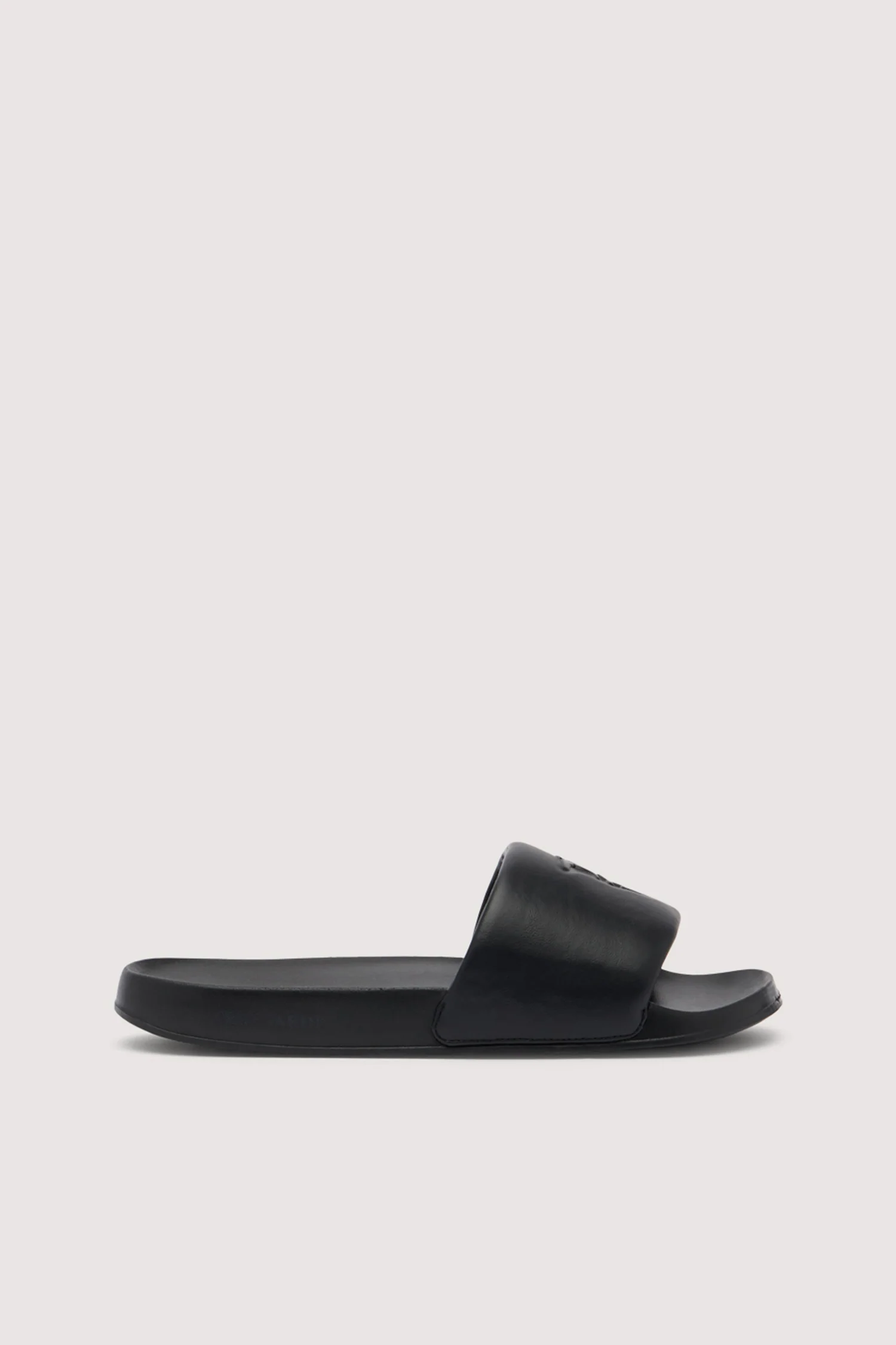 Greyhound Slides - Image 2