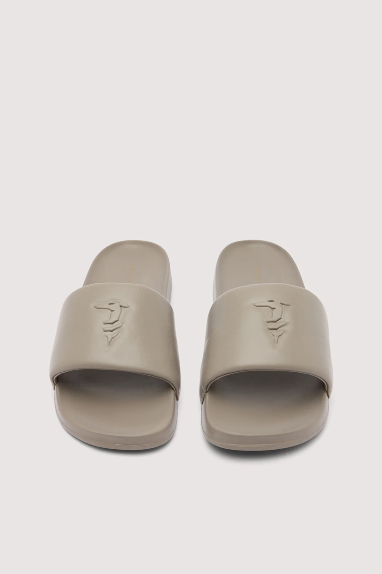 Greyhound Slides