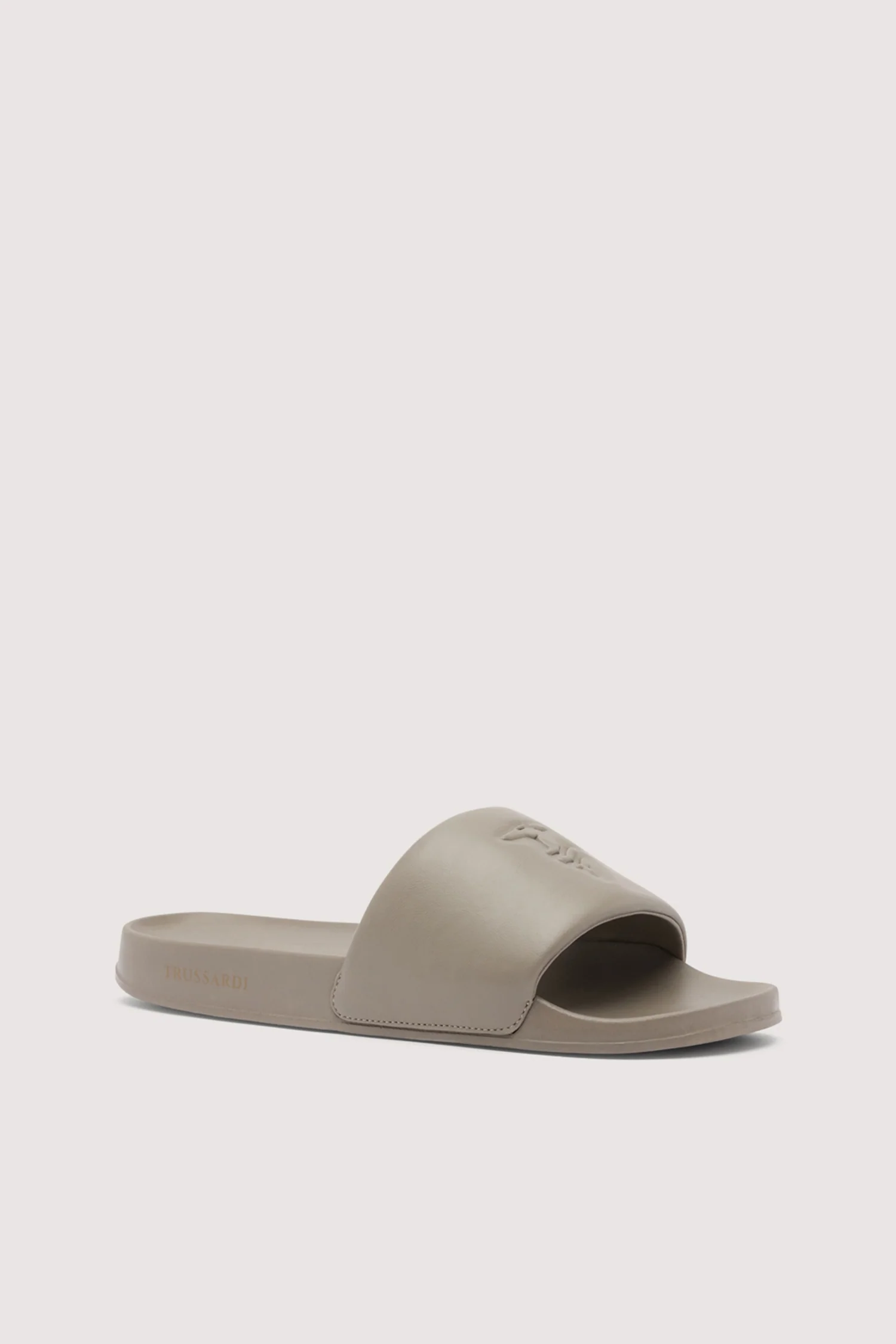 Greyhound Slides - Image 2